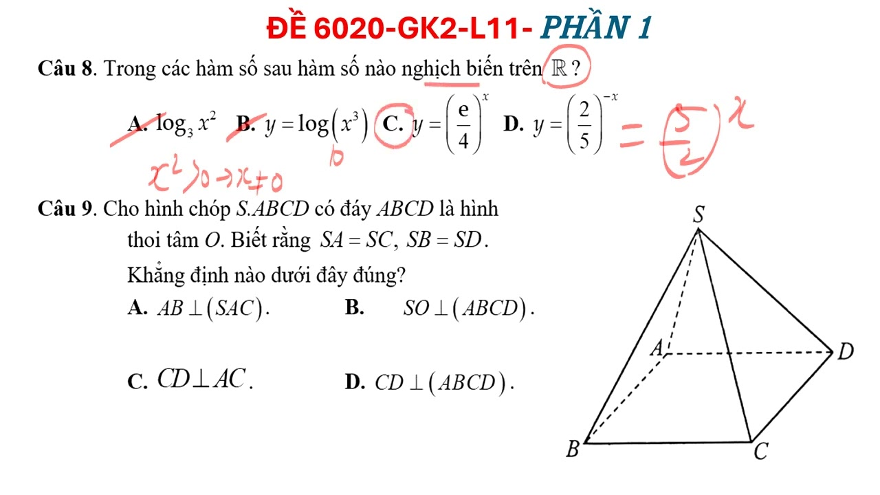 L11-ĐỀ 6020 P1  GK2