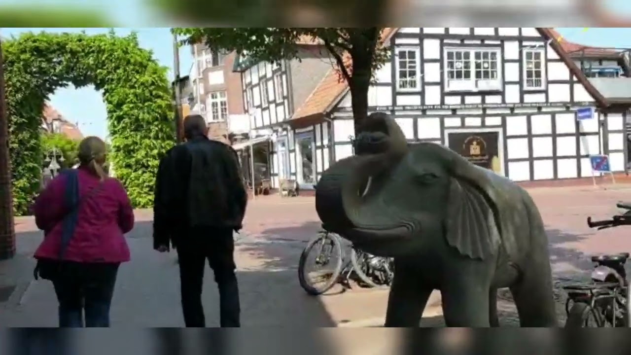 جولة في قرية Diepholz الالمانيه