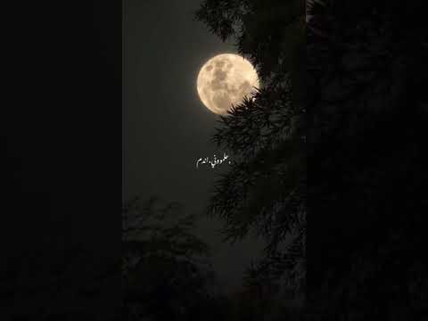رجعوني عنيك ام كلثوم عظمهه