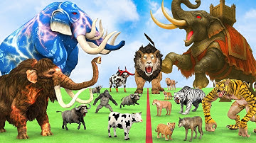 5 Giant Elephant Cow Vs Giant Angry Indian Elephant Vs 5 Giant Lion Tiger Cub Saved By Wolly Mammoth