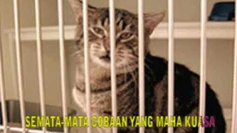LAGU BUDDHIS VERSI LAIN. AKIBAT KARMA Cipt. Ki Brojol Vocal, Ki Brojol