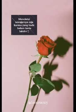 Story WA 2020 // Lagu galau ter uwwu😂❤