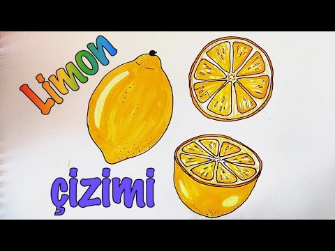 Video: Limon Nasıl çizilir