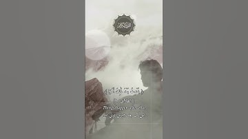 ايات من سورة الطلاق بصوت القارئ عبدالباسط عبدالصمد رحمه الله لا تدري لعل الله يحدث بعد ذلك امرا