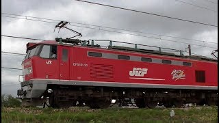 ﾚｯﾄﾞｻﾝﾀﾞｰEF510-21牽引高速貨物3097ﾚ　岡山→新潟