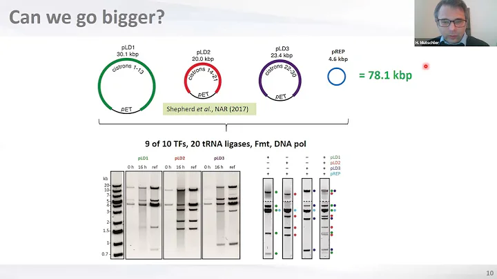 Build-a-Cell seminar Hannes Mutschler: First steps...