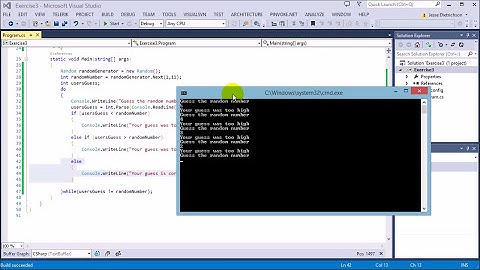 Learn C# for beginners: 30 -  Exercise 3