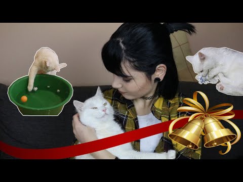 Videó: Hogyan Lehet Kötni Egy Takarót Egy Macskának