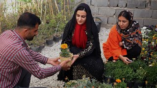 Love Blossoms: A Tale of Flower Purchases by a Nomadic Girl and Her Cousin