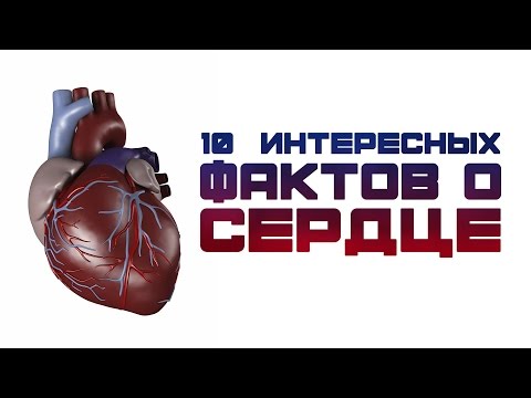 10 ИНТЕРЕСНЫХ ФАКТОВ О СЕРДЦЕ