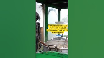Viral terekam mahluk panglaris tukang bakso. #shorts #bakso #streetfood #viralshorts #kuliner