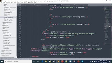 66-Work On Customer Edit Account Page  2 | Multivendor E-Commerce Website On PHP