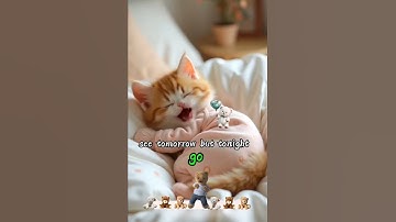 Thumbnail of Omg, Sunny as a tiny kitten.😍♥️   The Cutie sings "APT". So sweet😻 #cutecat #catlover #lipsync #ai