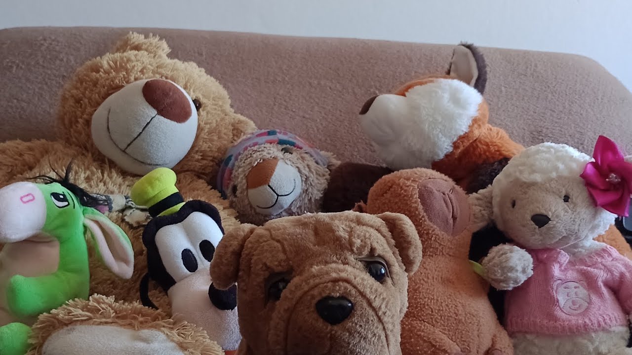 Diretora na sala+3 brigas+turminha do 1 ano+aluno novo.(Foi uma loucura ...