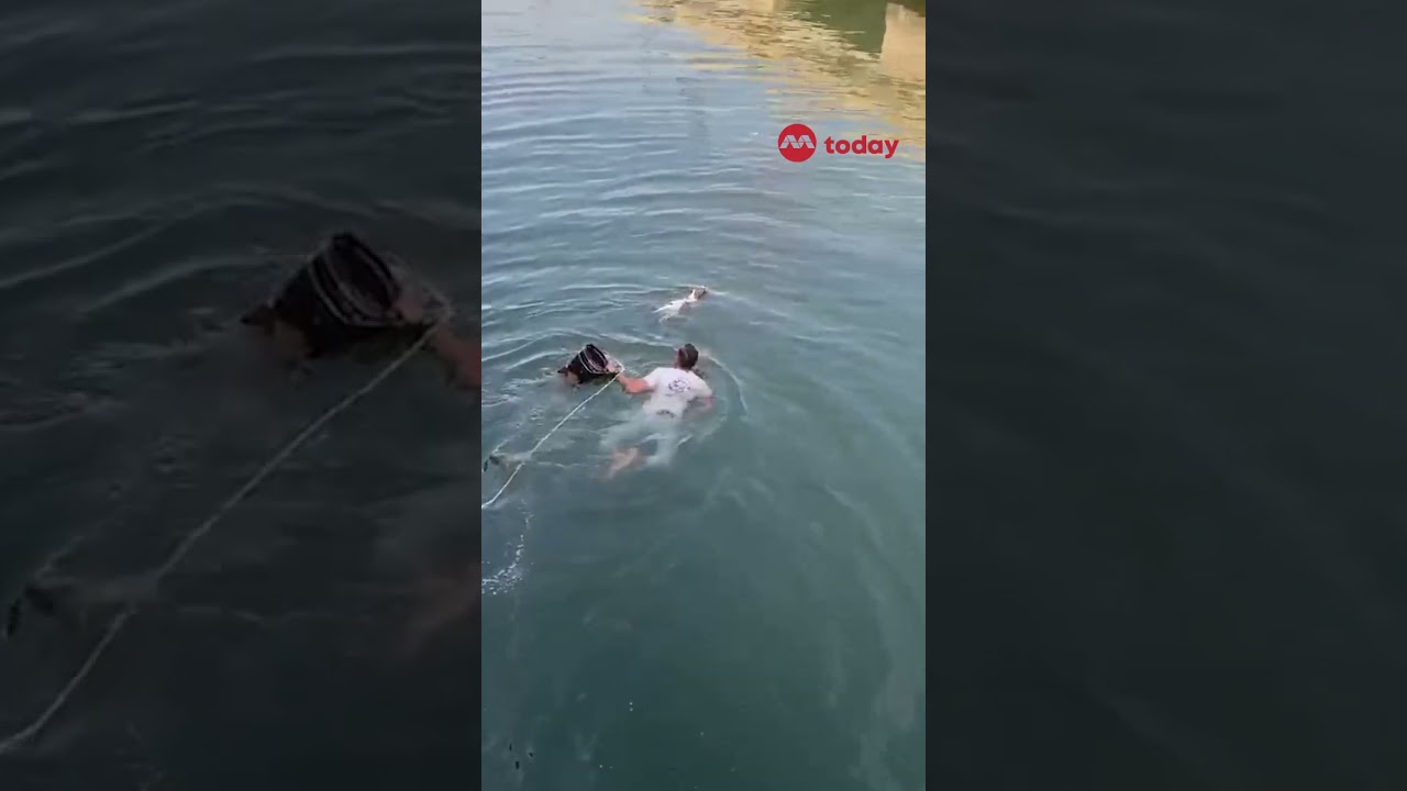 Malaysian navy personnel praised for rescuing dog from water