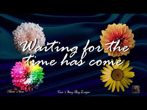 THE MINER´S  SONS Can´t Stay Any Longer VIDEO LYRIC