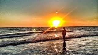 Visit Sarasota County Year in Review with Visitor Services