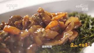 马尾藻与海参搭配 滋味相得益彰《味道》20240503 | 美食中国 Tasty China