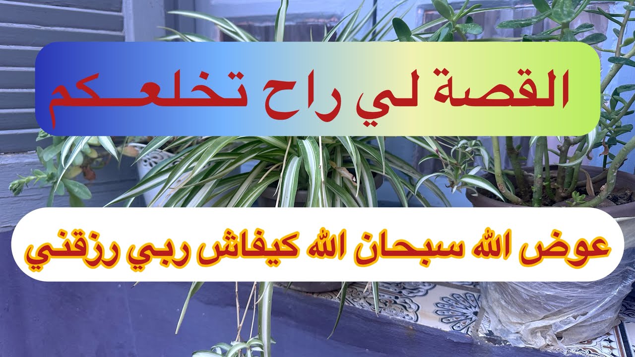 القصة لي بكاتني كي سمعتها 🤲 سبحان الله عوض الله جميل