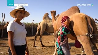 «АУЫЛДАСТАР». Қызылорда облысы, Жайылма ауылы