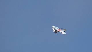 Joel flying his Mini Talon!