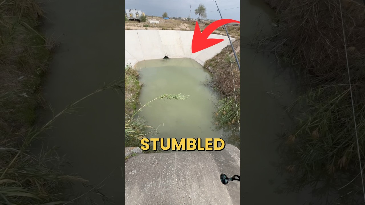 I Found Something Swimming In This RADIOACTIVE Run Off!