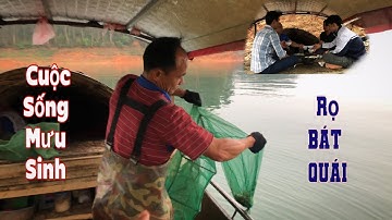 Cuộc Sống Mưu Sinh Của Ngư Dân Ven Hồ Thác Bà Yên Bái