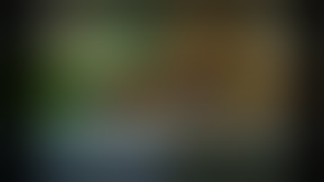 The Sims 3 on Winlator 7.1.5 Native Glibc by longjunyu2 (Snapdragon 8 Gen 3)