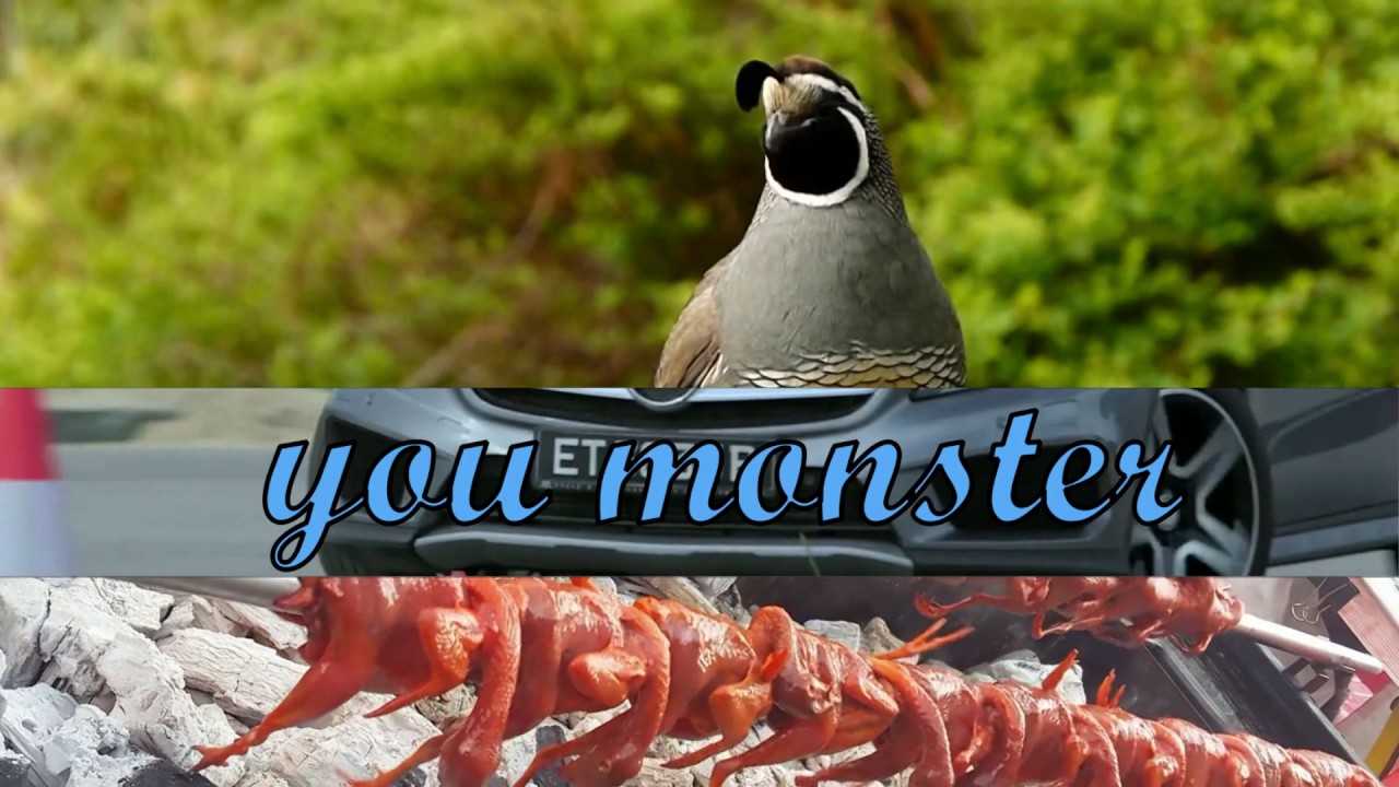 [industrial/Ambient] You did this - idort