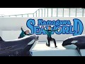 ◆鴨川シーワールド　シャチパフォーマンス（2019．02．10）12：30~ ◆