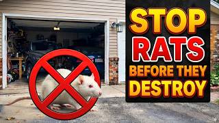 How to Keep Rats Out of Your Garage (7 Things Rats Hate)🐀