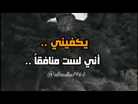 يكفيني أني لست منافقا ولا أخون ولا أجامل الناس كذبا