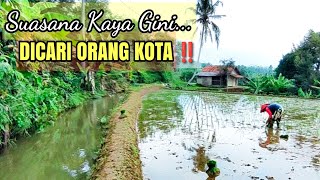 The Atmosphere Of The Sundanese Countryside Is Greatly Missed By The City Peoplebeautiful Village