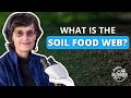 What is the Soil Food Web?