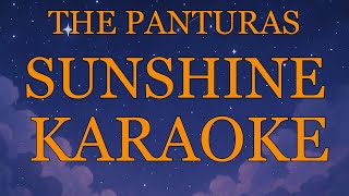 The Panturas  Sunshine karaoke