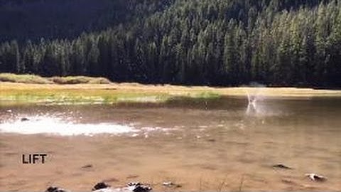 A Day in the Life of a Fluid Dynamicist