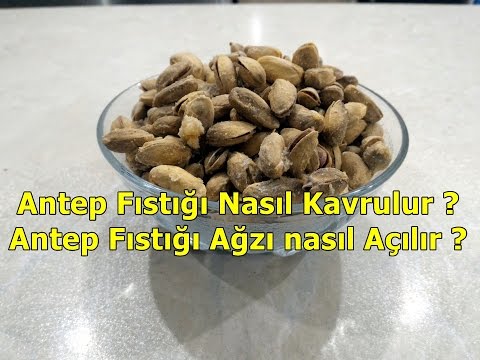 Antep Fıstığı Nasıl Kavrulur | Antep Fıstığı Nasıl Açılır