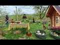 Жареная Крапива. Очень Вкусное  Блюдо. Чиргин Лезгинская Кухня