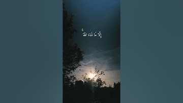 تلاوة هادئة تريح القلب بصوت القارئ عبدالرحمن مسعد / سورة الاعلى ( سَبِّحِ اسْمَ رَبِّكَ الْأَعْلَى )