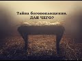 Тайна боговоплощения.  ДЛЯ ЧЕГО?