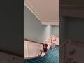 Son gets shy to take a picture with a girl #shorts