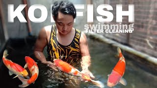 DIY POND FILTER CLEANING | SWIMMING with KOI Fish by Nilo Nieves 2,187 views 7 months ago 10 minutes, 1 second