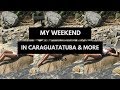 VLOG 6: My weekend in Caraguatatuba and more