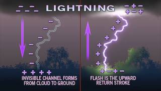 The Difference Between Positive And Negative Cloud To Ground Lightning
