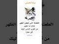 عبارة أعجبتني الطعنه التي تطعن الظهر غالبا ما تكون من أقرب الناس إليك من حذرا حالات  