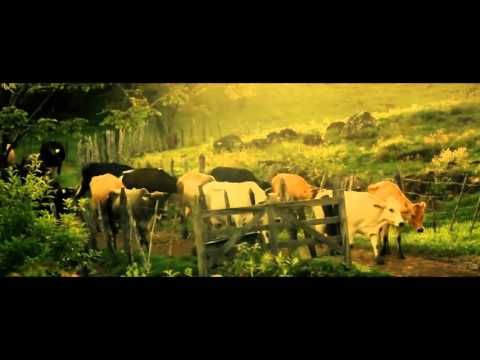 დაიბრუნე რაც შენია!