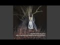 YouTube YouTube