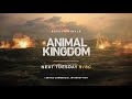 ANIMAL KINGDOM 2x13 SEASON FINALE - BETRAYAL
