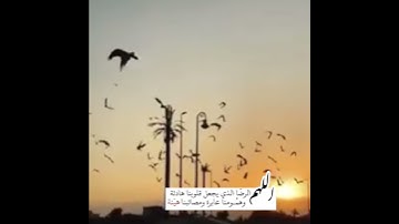 تلاوة قران خاشعة/ستوريات انستا قرانية/ستوريات قران قصيرة/مقاطع قران بدون حقوق عبد الرحمن مسعد