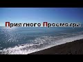 Интро Эпоха Недоверия